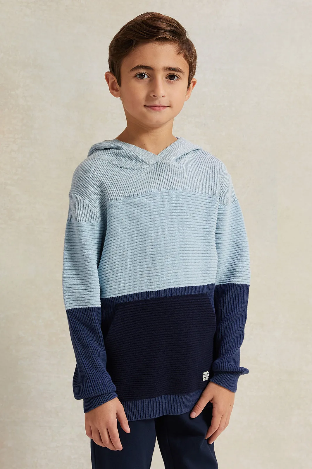 Boys Navy And Blue Hooded Pullover