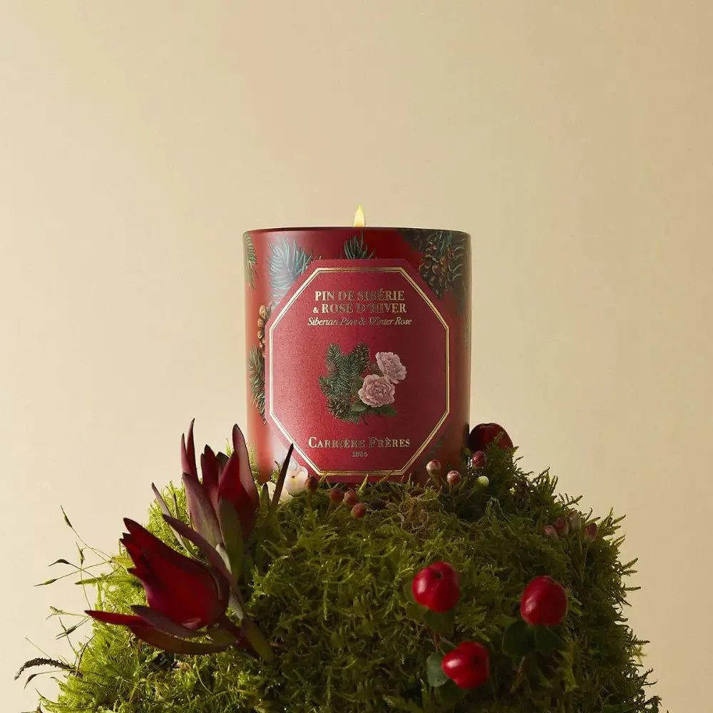 Carriere Freres Festive Pine & Winter Rose Candle 185g