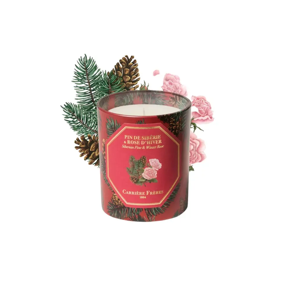 Carriere Freres Festive Pine & Winter Rose Candle 185g