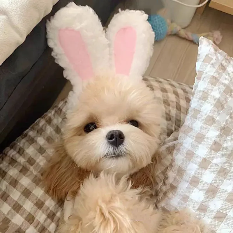 Cute Bear Rabbit Hood for Pets