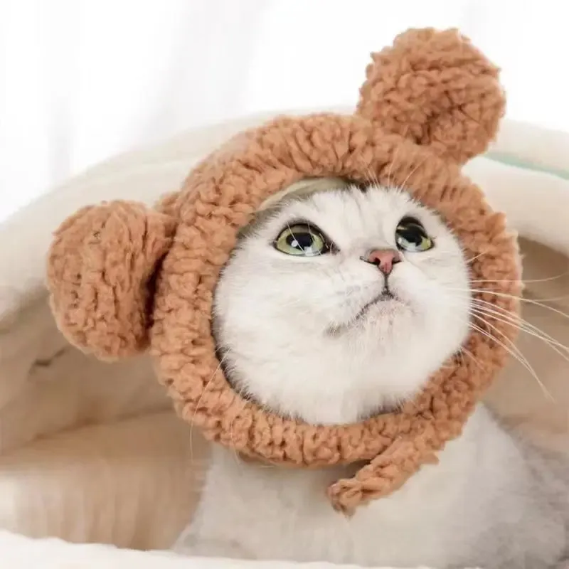 Cute Bear Rabbit Hood for Pets