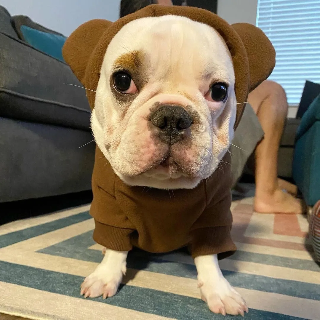 Frenchiestore Organic Dog Frenchie Ear Hoodie | Teddy Bear