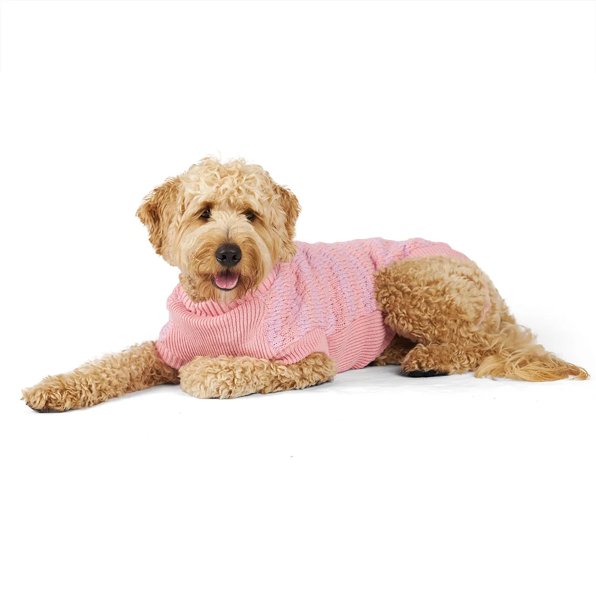 Kazoo Apparel Posy Dog Jumper Medium ***