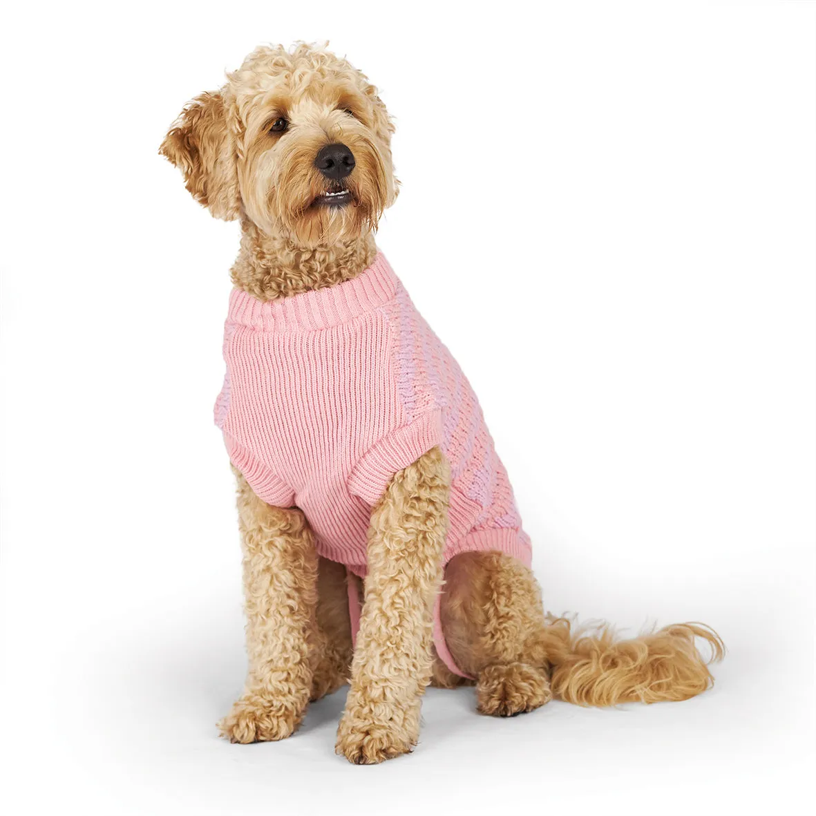 Kazoo Apparel Posy Dog Jumper Medium ***