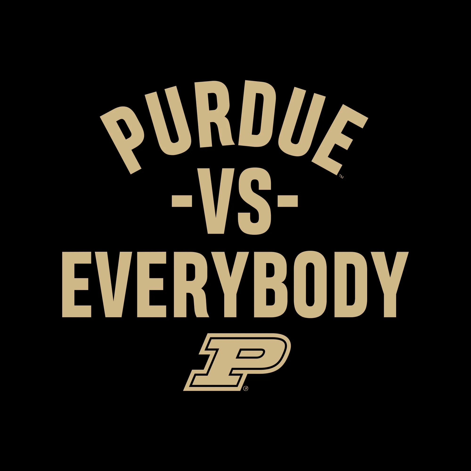 Purdue Vs Everybody Hoodie - Black