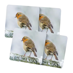 Winter Robins Placemats